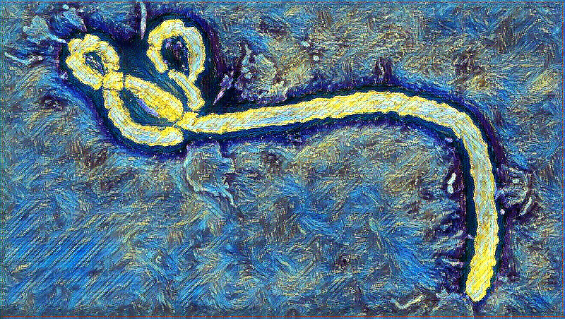 Ebola Outbreak Confirmed in Congo's Ituri Province; 65 Deaths
